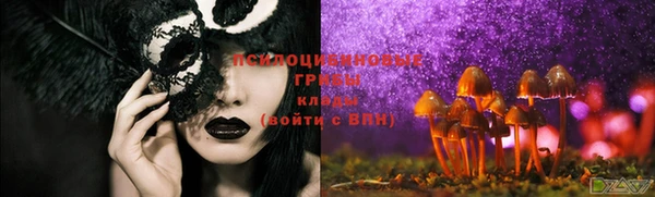 гидропоника Верхний Тагил