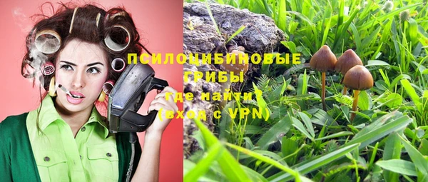 гидропоника Верхний Тагил