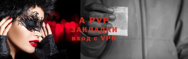 СК Волоколамск