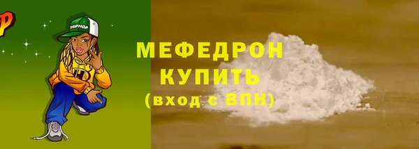 стаф Верея