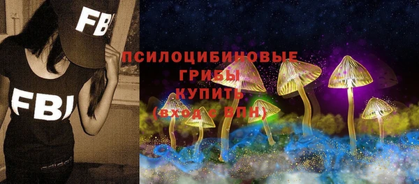стаф Верея
