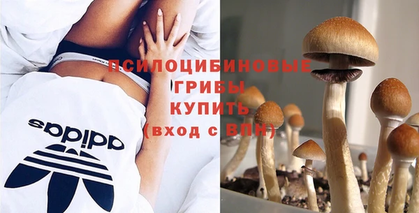 СК Волоколамск