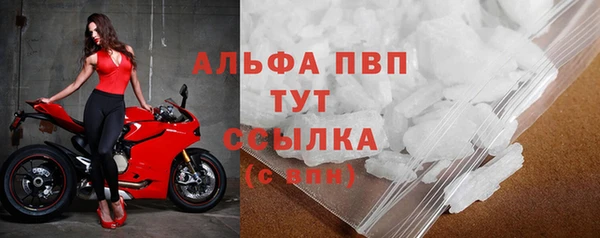 СК Волоколамск